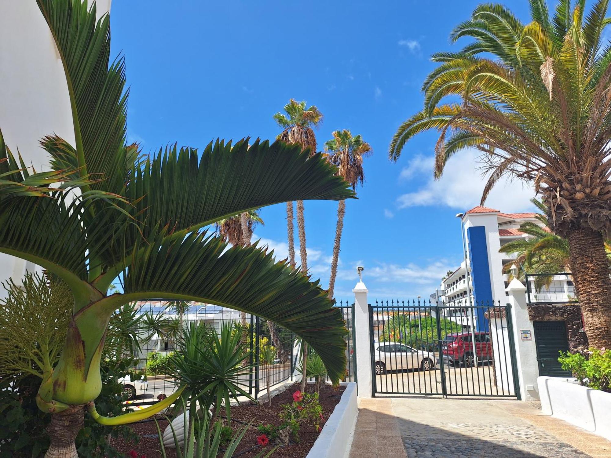Parque Margarita, Terraza Vista Piscina Daire Los Cristianos  Dış mekan fotoğraf